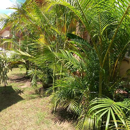 Hotel Boutique Sol Y Luna Spa Ajijic Ngoại thất bức ảnh