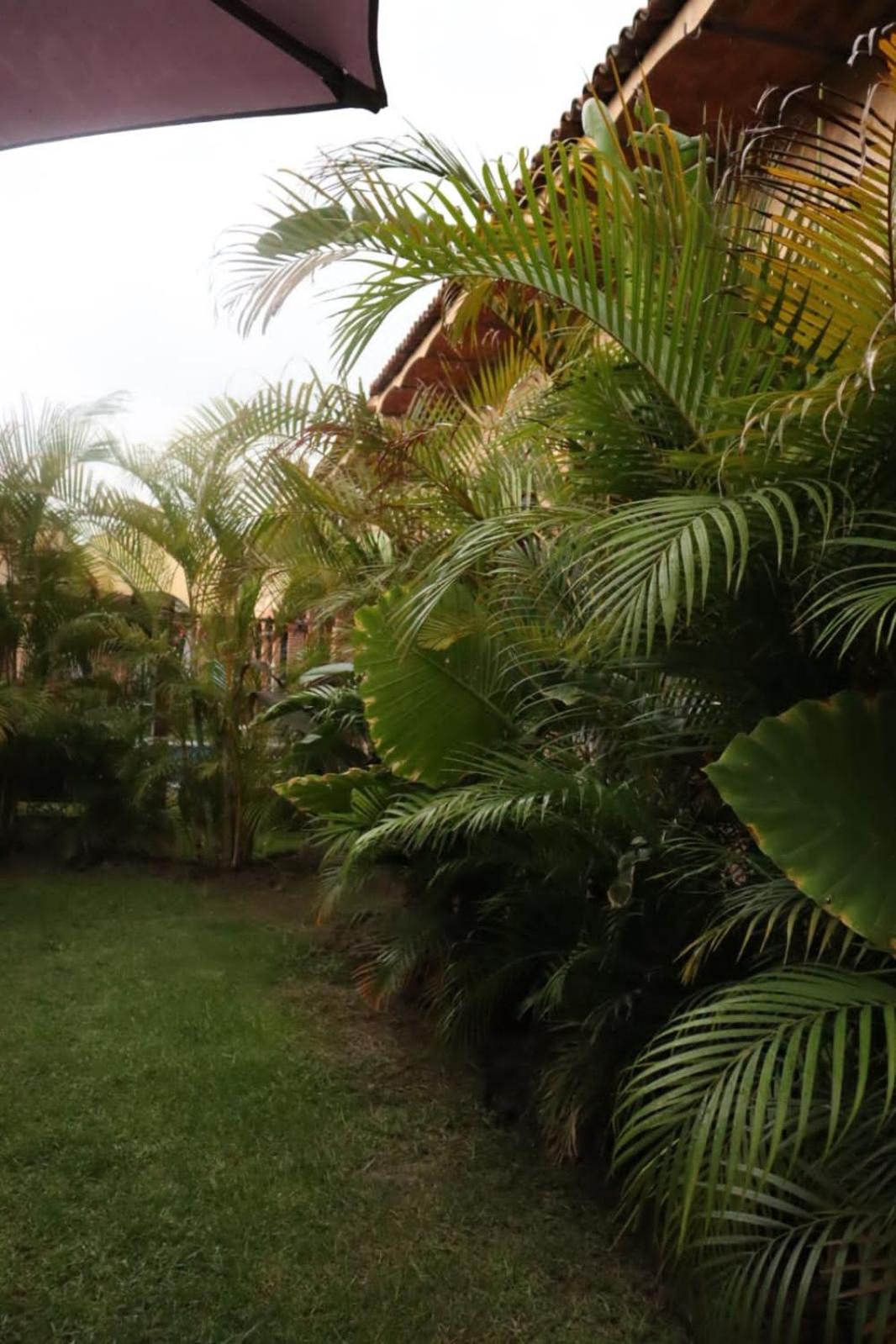 Hotel Boutique Sol Y Luna Spa Ajijic Ngoại thất bức ảnh